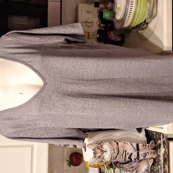 Z women's Torrid silver metallic stretch short sleeve plus size knit top 3 - Picture 1 of 4